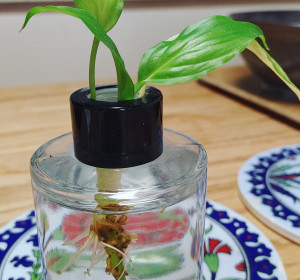 스파트필름  물꽂이