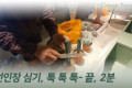 선인장 심기~, 툭툭툭 2분 끝. 선인장 심기~, 툭툭툭 2분 끝.
