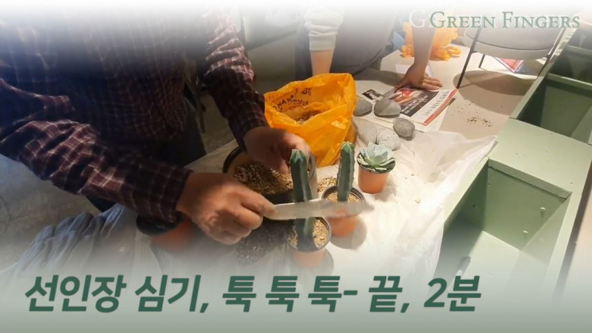 그린핑거스_선인장심기_0511.JPG