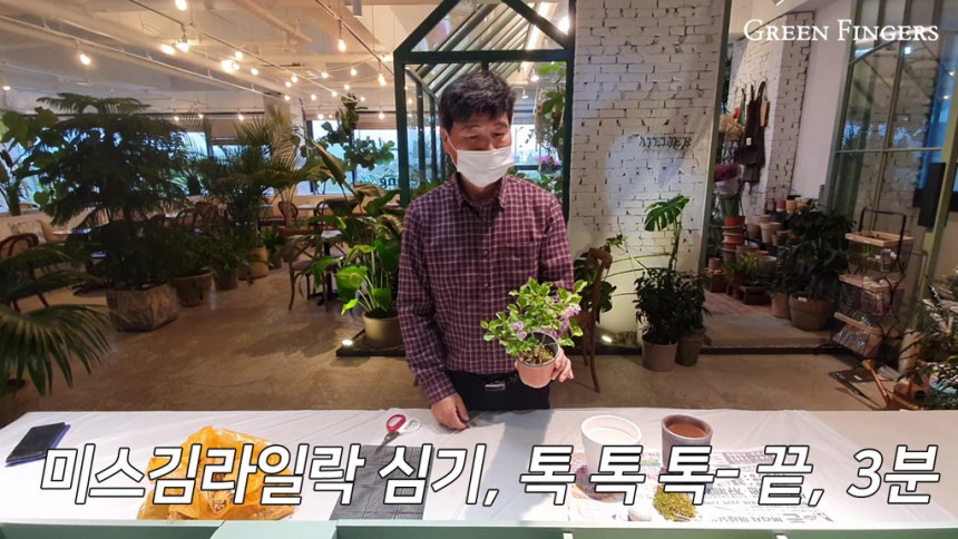 그린핑거스_미스김라일락심기_Moment.jpg