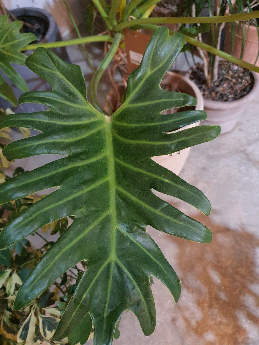 20230130_224713.jpg
