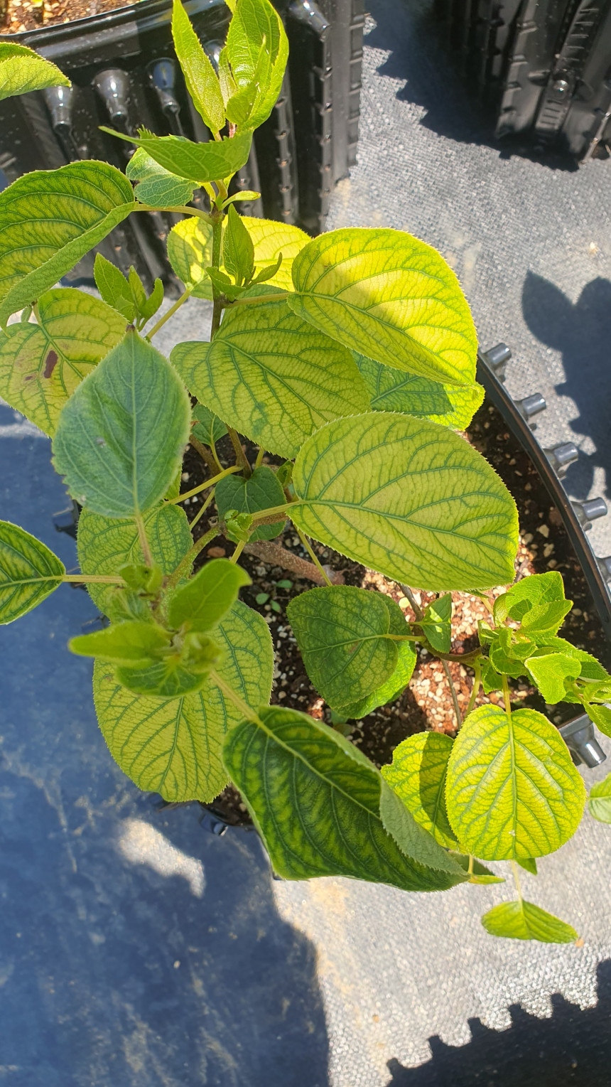 20240612_111753.jpg