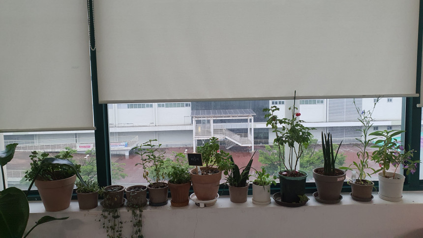20240708_065010.jpg
