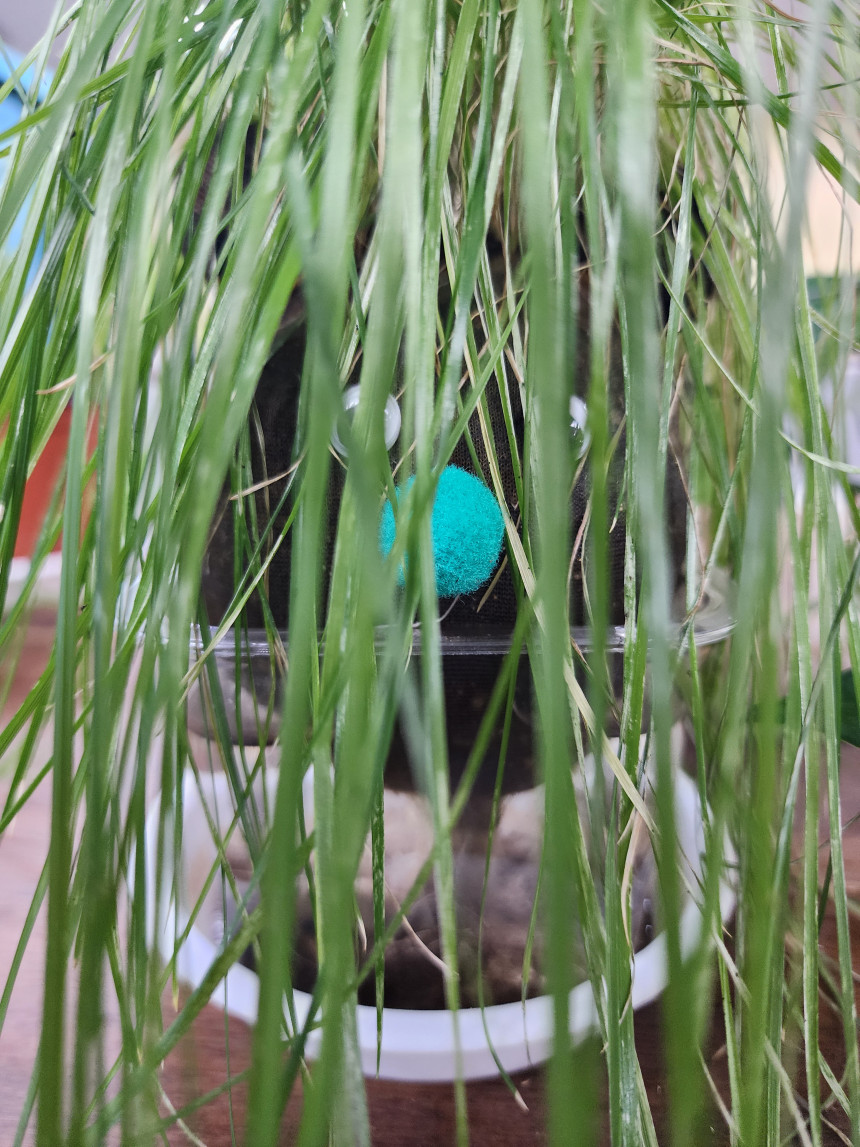 20240801_193101.jpg